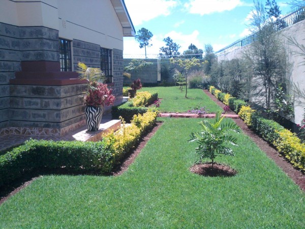 Gardening and Landscaping